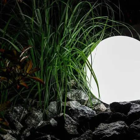 Kwatera prywatna Azalia Polanica-Zdrój