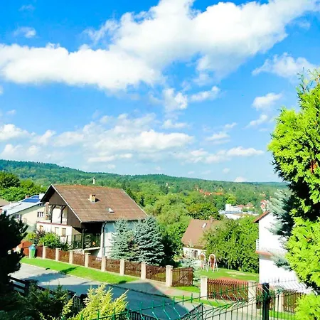 Azalia * Polanica-Zdroj