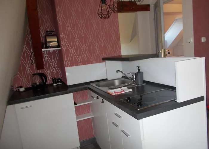 Azalia * Polanica-Zdrój