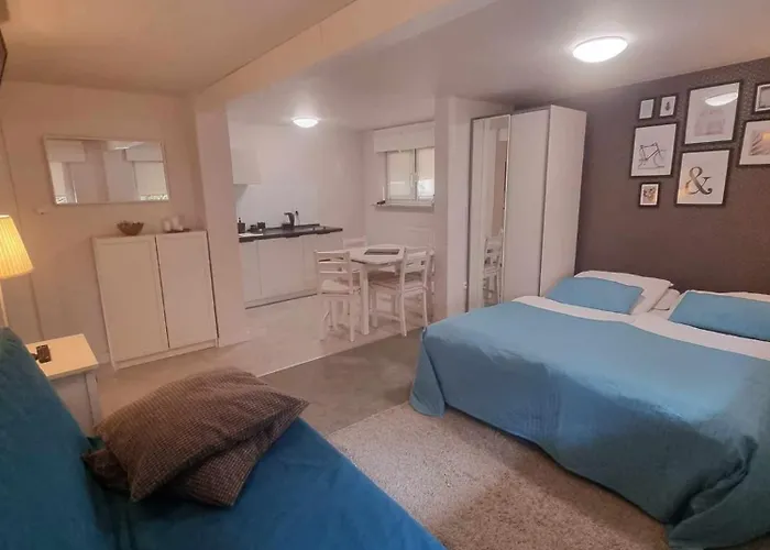 Azalia Polanica-Zdrój