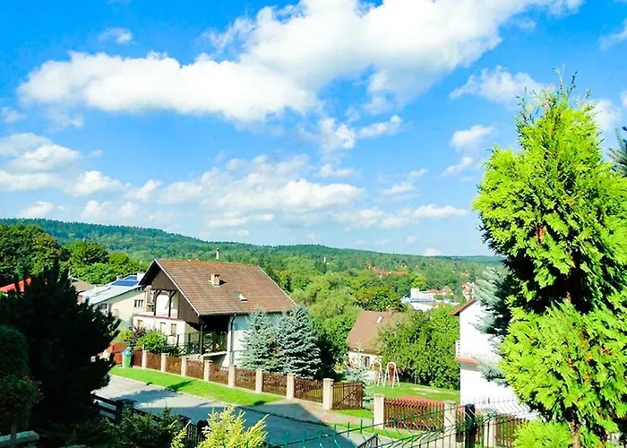 Azalia * פולניסה-ז'דוז'